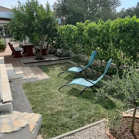 Maslina דירה ביוגראד נה מורו