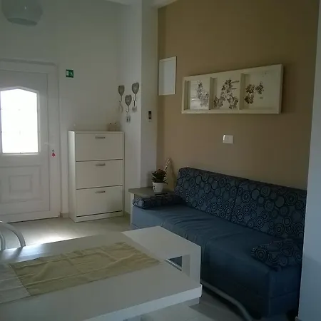 Maslina * Biograd Na Moru