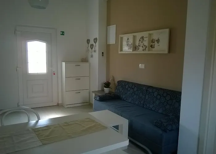 Maslina * Biograd na Moru