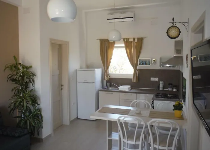 Maslina Biograd na Moru